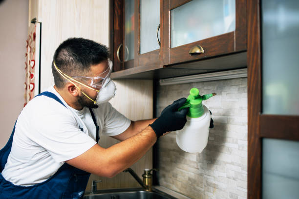 Best Rat Extermination Near Me  in Crystal Lakes, OH