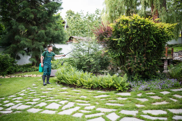 Best Pest Control Near Me  in Crystal Lakes, OH