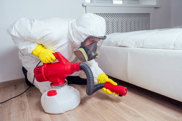 Best Affordable Pest Control Services  in Crystal Lakes, OH