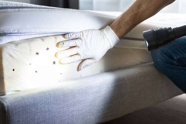 Best Best Pest Control Companies  in Crystal Lakes, OH
