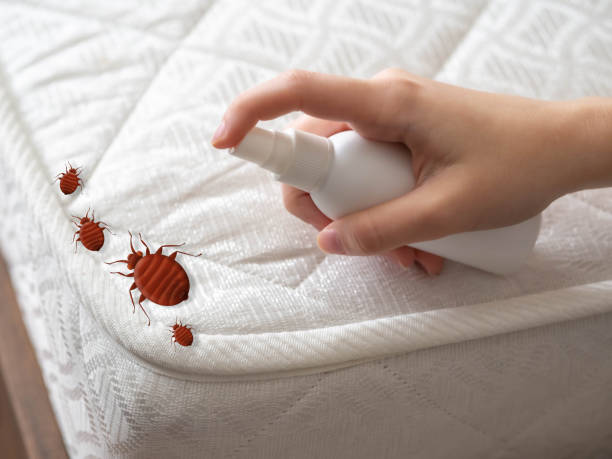 Best Mosquito Control Services  in Crystal Lakes, OH