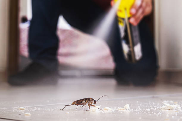Best Rodent Control Near Me  in Crystal Lakes, OH