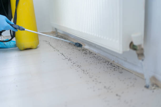 Best Commercial Pest Control Services  in Crystal Lakes, OH
