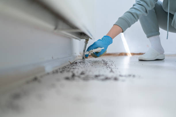 Pest Control Cost in Crystal Lakes, OH