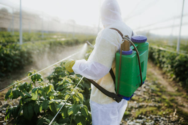Best Pest Inspection Near Me  in Crystal Lakes, OH